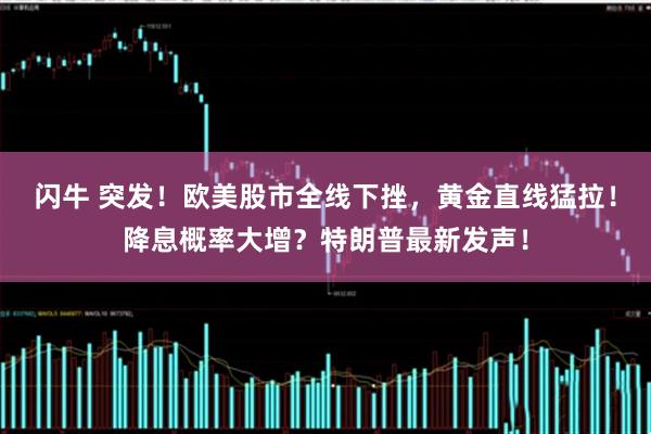 闪牛 突发！欧美股市全线下挫，黄金直线猛拉！降息概率大增？特朗普最新发声！